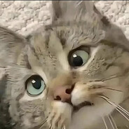 求求你别爆我头