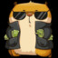 hamster