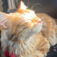 ClicClicBoom's avatar