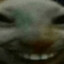 Xdd