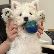 今天也很喜欢你