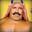 The Iron Sheik