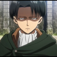 Levi