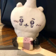 趴趴猫和趴趴狗