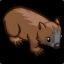 ElWombat