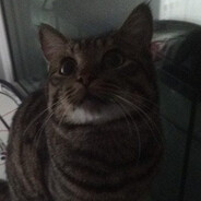 ?? - steam id 76561199887649926