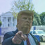 BOT TRUMP