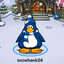 snowbank24