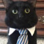 tt.Cat_Gentleman