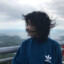 挽鹤