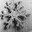 nectur