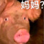 我是牛牛精灵 扣1牛牛变大