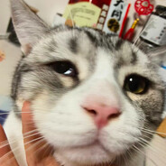 鲁智深大闹赵本山