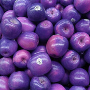 purple apple