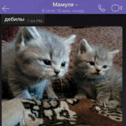 ฿ǺŃǺÑԿÎ₭ ❤