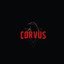 Corvus