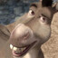 Osioł From Shrek