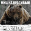 ДИРЕКТОР