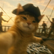 用小鱼洗刷刷我的船板