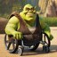 Shrek Paraplegico