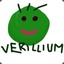 lil verillium