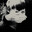 l1ew-
