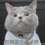 鱼丸粗面丶cat