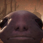 Sapo Bombado