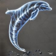[-WarG-] IceDolphin