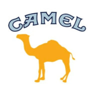 camel