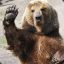 Anti-Bear Legislation
