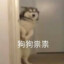 花果山十三太保
