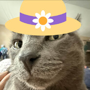 Rav32 - steam id 76561198146245371