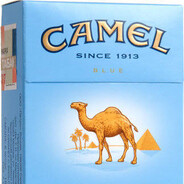 CAMEL
