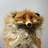 Mink
