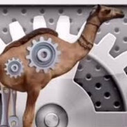 settings camel