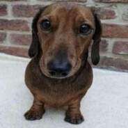 сру в коробку