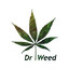 Dr. Weed