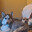 Dog Bandit