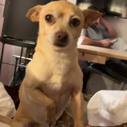 W Rumgraal - steam id 76561199838481062