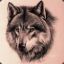 Red Wolf Spirit