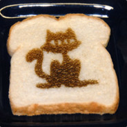 Cat_On_Toast
