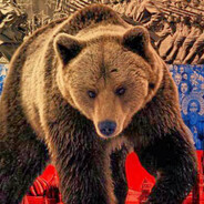 Всем стоять