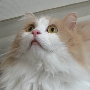 불꽃남자 김상원