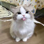 marb