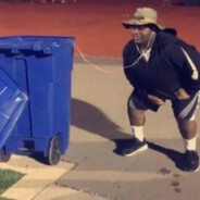 她的学历没有水分