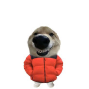 狗熊岭第一补枪手蹦蹦