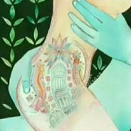 李小璐的假奶亮了