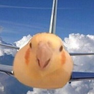 Корбен Детка