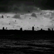 今年是马年，那所有的假期是不是都是马假期